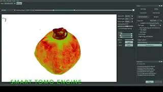 Томографическая реконструкция граната | Smart Tomo Engine 2.0