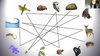 Virtual Endangered Species Lesson (4th-5th grade): Office of Kentucky Nature Preserves