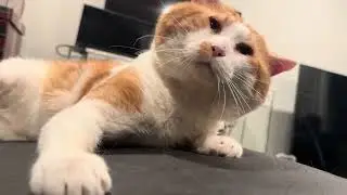 Tickle tickle