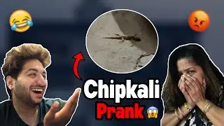 lizard Prank🦎😂 | prank On Angry Mom | Gomzi Gugnani | New Vlog | Chipkali | #gomzigugnani #lizard