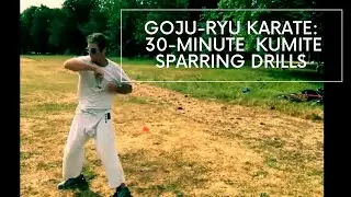 30-Minute GOJU-RYU Kumite Class (Follow Along) - Hanwell Karate Club