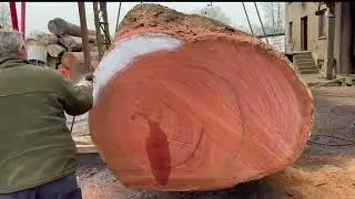 Rare Sipo Log - Speciality Grain Boards