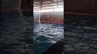 Track position and go 🏊&zwj;♀️ #earth #viral #shorts