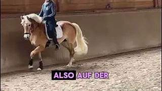 Fliegende Wechsel zuverl&auml;ssig reiten