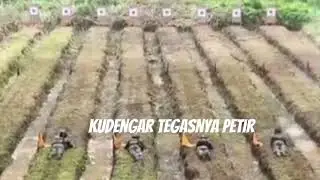 watukosek desember 2025
