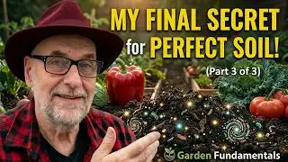 Feed Your Soil Microbes This—Watch Plants Explode: Part 3 of 3