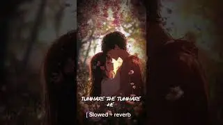 tumhare hi rahengi ham tumare the tumhare he  slowed reverb #slowedandreverb #solomusician 