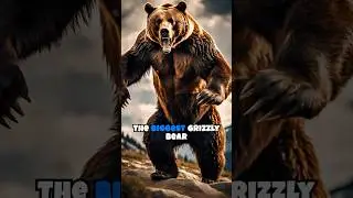 the biggest grizzly bear ever recorded