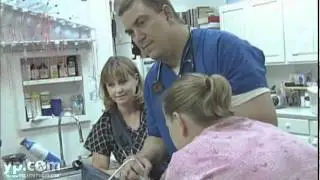 Animal Emergency Center