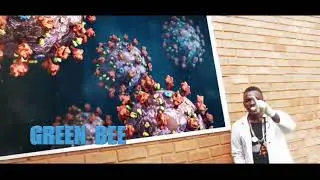 Corona virus-green bee