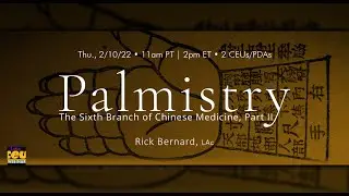 Palmistry: The Sixth Branch of Chinese Medicine, Part II