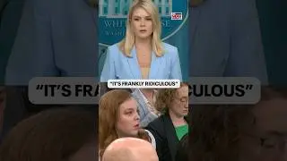 &ldquo;Frankly ridiculous&rdquo; - tense moment during White House press briefing