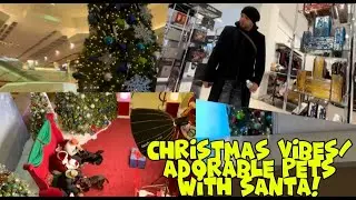 Exploring New Perfumes at Macy&rsquo;s + Pet Picture Day with Santa | Viendo Perfumes Nuevos y D&iacute;a de Mas