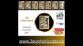 We Branded Our Own Cat Trees! | 3 Euphoric Cats Vertical Habitat Series