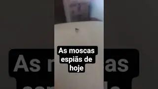 Mosca espi&atilde; no Brasil #espionagem #moscas #russia #rob&ocirc;s #droneshoot #robot