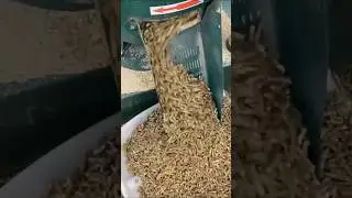Corn Pellets Making #pellets #cornprocessing #crushing