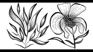 Easy Stippling floral and leaves Illustration in Procreate | iPad Art | SimpleSword