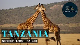 Tanzania Secrets Lodge Safari Package | Safarihub