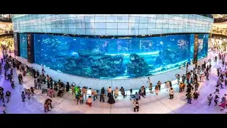 best aquarium fish-best aquarium  design -best aquarium filter-aquarium fish-aquarium info