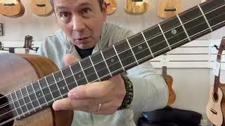 Mya-Moe 6 String Myrtle Wood Baritone Ukulele Demo/Review at Aloha City Ukes