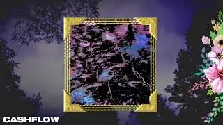 CASHFLOW23 - SCHIMBAT (New 2018 VideoArt+Versuri)