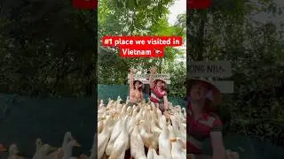 Herding Ducks in Vietnam! 🦆 | Fun Couple Adventure at the Duck Stop, Phong Nha