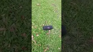 JBL Charge 5 and Flip 6 outdoor test
