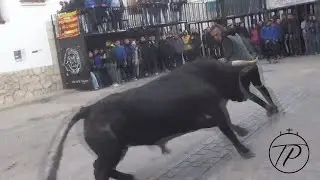 1-3-25 Villahermosa del Rio. Toros del Val y Hns Colomer y Vacas de Hns Colomer