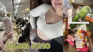VLOG #210 - Ordering Joy, home reset & big grocery shop