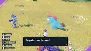 CROCODILE SPIN!