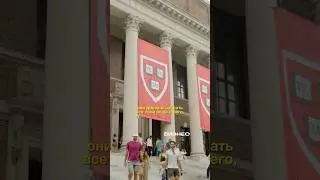 Как живут студенты Гарвардского Университета в США