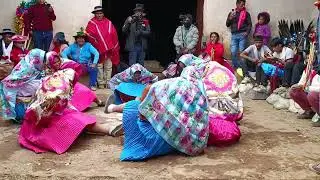 Joel y Justina - Pastores y Huaylía 2025 y 2026 - Apongo 11