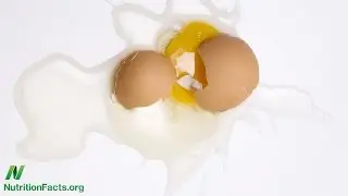 How the Egg Board Designs Misleading Studies