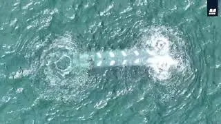 Metron and Cellula Robotics Complete Multi-Mission Open-Water UUV Demonstration #drone #dronevideo