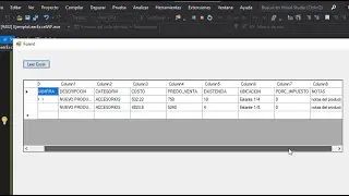 ✅Leer Excel desde C# Windows Form