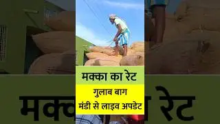 🔥 बाग मंडी से LIVE | आज मक्का का रेट कितना है? | Maize Price Update 2025