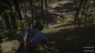Red Dead Redemption 2 Arthur Morgan hunt wild boar