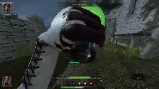 True Duo - C3DWONS - Old Haunts - Vermintide 2