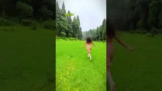 mini pahalgam in north bengal|Darjeeling majhidhura #minipahalgam #Darjeeling