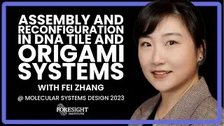 Fei Zhang | Assembly and Reconfiguration in DNA Tile and Origami Systems @ MSD Workshop 2023