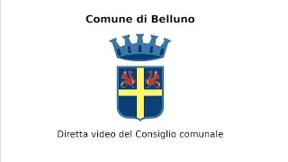 Consiglio comunale del 28/11/2025