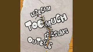 Too Much