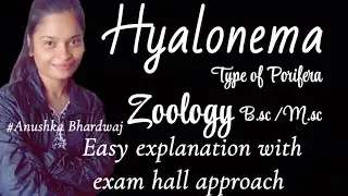 Hyalonema || Zoology || Type of Porifera || b.sc || m.sc || university || exams || easy explanation|