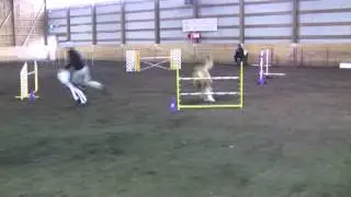 Tristan   MACH Victory