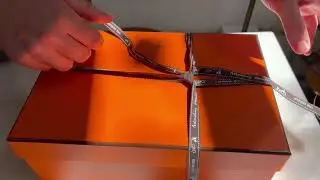 HERMES CHYPRE SANDALS UNBOXING