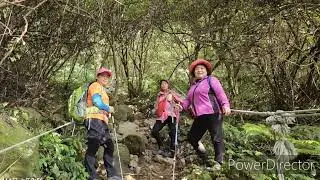 觀音山 林梢 步道 鷹仔尖 101登頂 2026年1月11日