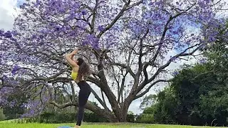 Day 5 - Sun Salutation A Challenge