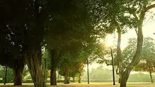 Al Shaheed Park Circle of Peace