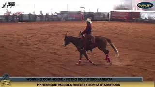Sophia Starstruck e Henrique Ribeiro Working Cow horse ABQM 2019