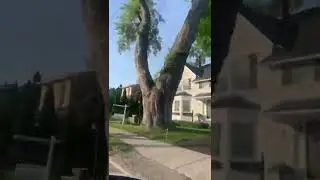 Summer in Canada